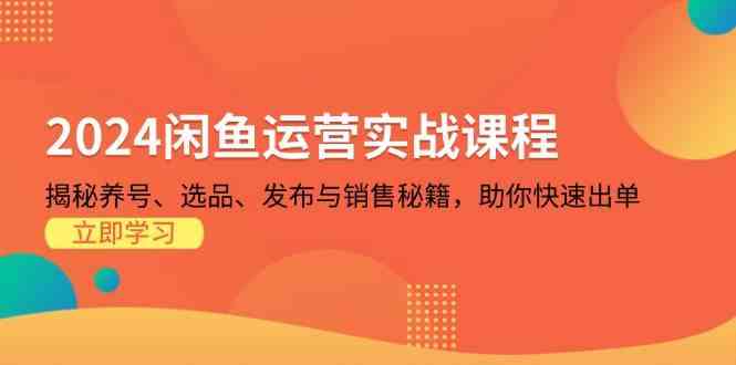 2024闲鱼运营实战课程：揭秘养号、选品、发布与销售秘籍，助你快速出单-创客联盟资源网-本站致力于分享优质实用的互联网资源,创业项目,软件工具